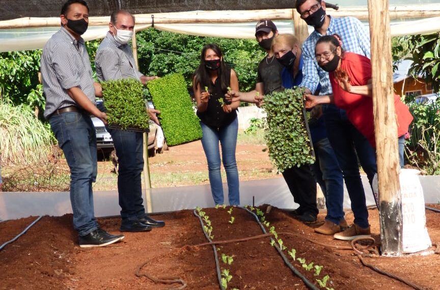 “Cinturón verde”: fortalecen la producción hortícola domiciliaria