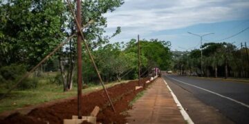 Instalarán más de tres mil metros de luminaria peatonal en el Acceso Oeste