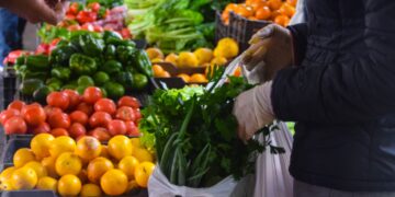 Las Ferias Francas atenderán el 24 y el 31