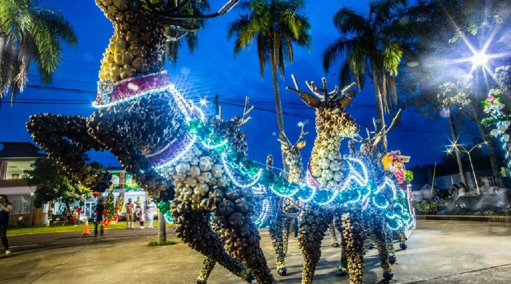 Suspenden las actividades de “Navidad en Capiovi”
