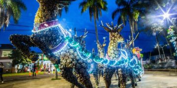 Suspenden las actividades de “Navidad en Capiovi”