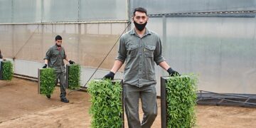 Biofábrica Misiones proveerá 500 mil algarrobos a Córdoba para restaurar áreas incendiadas