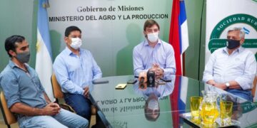 Anunciaron remate ovino 100 % misionero y créditos para productores