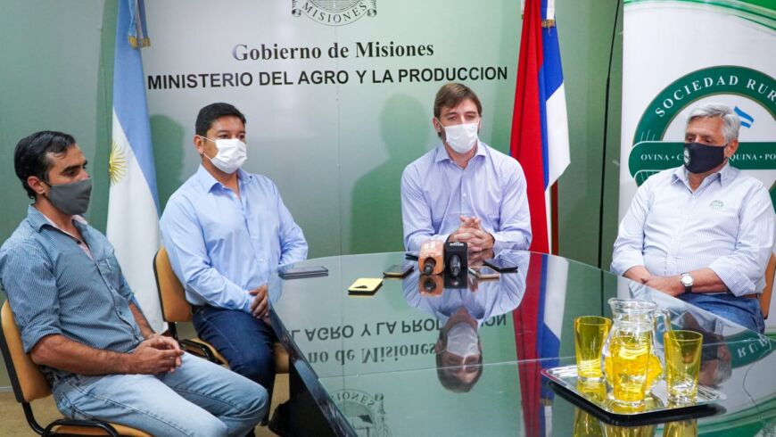 Anunciaron remate ovino 100 % misionero y créditos para productores