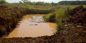 Construyen reservorios de agua para productores de Feria Franca