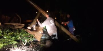 El Municipio asistió a vecinos tras la fuerte tormenta de viento y lluvia