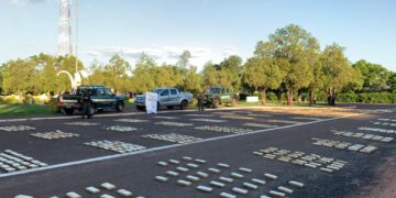 Decomisan más de una tonelada de marihuana en San Ignacio