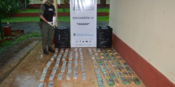 Intentaron enviar por encomienda más de 50 kilos de marihuana ocultos en dos parlantes