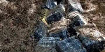 Decomisaron casi dos toneladas más de marihuana en Eldorado