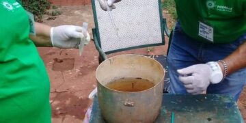 Recuerdan la importancia de eliminar criaderos de mosquitos después de la lluvia