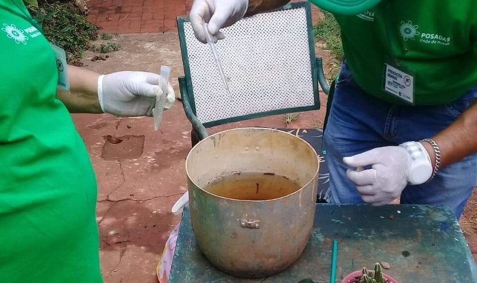 Recuerdan la importancia de eliminar criaderos de mosquitos después de la lluvia