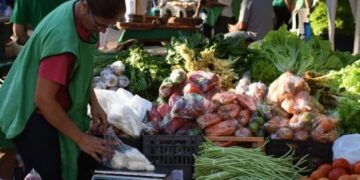 Gobierno eliminó retenciones a productos de economías regionales