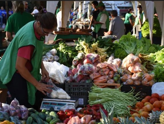 Gobierno eliminó retenciones a productos de economías regionales