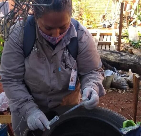 Intensifican operativos sanitarios para combatir al dengue en Posadas