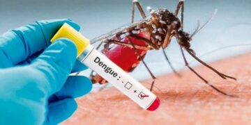 En el marco de la pandemia de coronavirus, piden a la población no descuidar la lucha contra el dengue