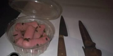 Llevaban salchichas incrustadas con vidrio y sospechan que daban a los perros para luego ingresar a robar a las casas