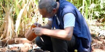 En verano, se redoblan los operativos de control focal y fumigación contra el Dengue