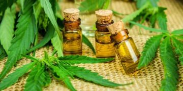 Autorizaron el cultivo de cannabis medicinal en Misiones