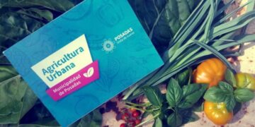 Invitan a sumarse a los talleres municipales de verano: “Mi huerta en casa”