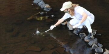 Realizan un monitoreo ambiental en arroyos para verificar su estado