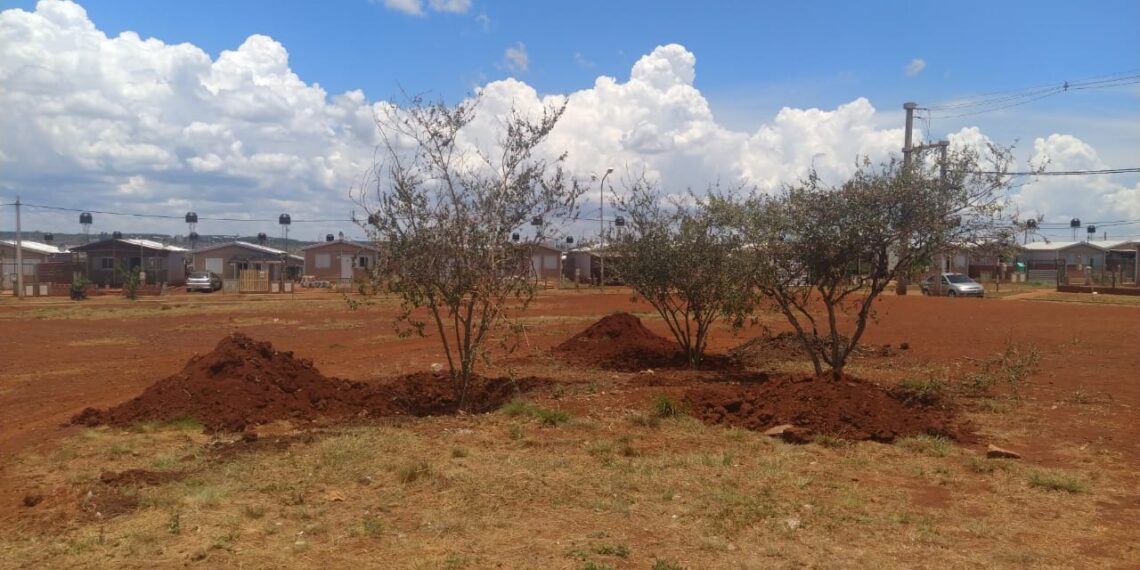 Replantaron árboles y repararon la plaza del barrio 508 Viviendas