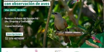 Paseos por la naturaleza, otra alternativa en este verano