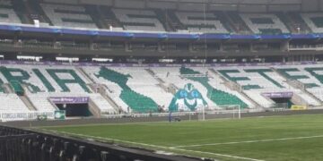 Palmeiras decoró su tribuna con la imagen de una Copa Libertadores que todavía no ganó