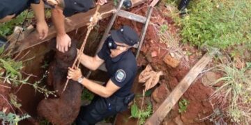Policías rescataron a un perro que cayó a un pozo en San Vicente