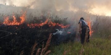 Las multas por quemas ascienden a más de 420 mil pesos