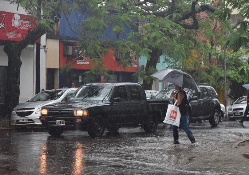 La tormenta provocó anegaciones en Posadas y caída de árboles y voladuras de techos en el interior