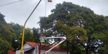 Habilitaron nuevos semáforos sobre la avenida Quaranta