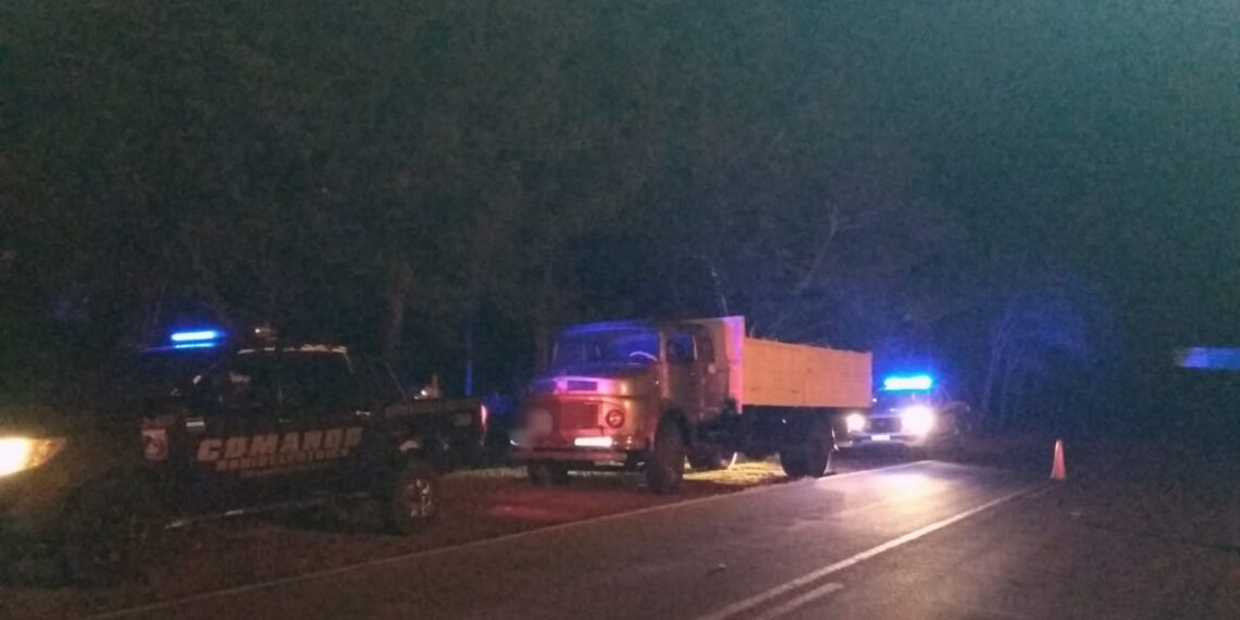 Detectaron un camión que llevaba una carga ilegal de soja en Alba Posse