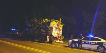 Retuvieron un camión que transportaba yerba sin aval y se investiga su procedencia