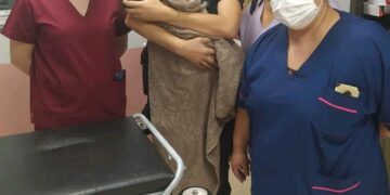 Hallaron abandonada a una beba en la vía pública y buscan intensamente a su familia