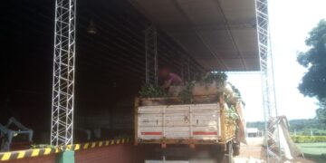 Incautaron más de 5 mil kilogramos de yerba mate y arrestaron a un presunto capataz