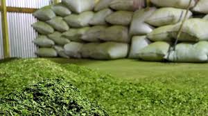 Sin acuerdo en el Inym, el precio de la yerba mate volverá a ser fijado por Nación