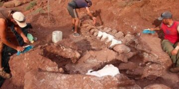 Anuncian que el titanosaurio más antiguo fue descubierto en la Patagonia
