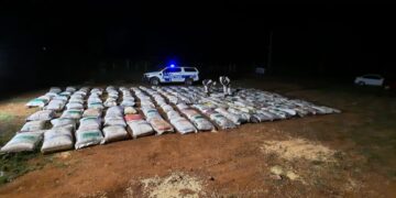 Decomisan más de 11 toneladas de soja en El Soberbio