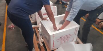 Llegaron 10.800 vacunas Sputnik V a Misiones