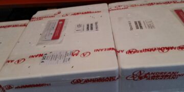Llegaron 9.600 vacunas Sputnik V componente 2 a Misiones