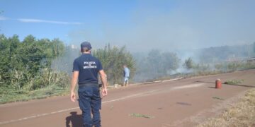 Sofocaron incendios de malezas y pinares en la Provincia