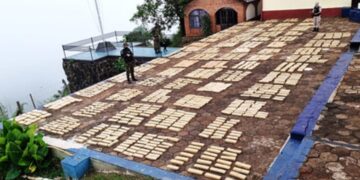 Eldorado y Santa Ana: incautaron más de una tonelada y media de marihuana