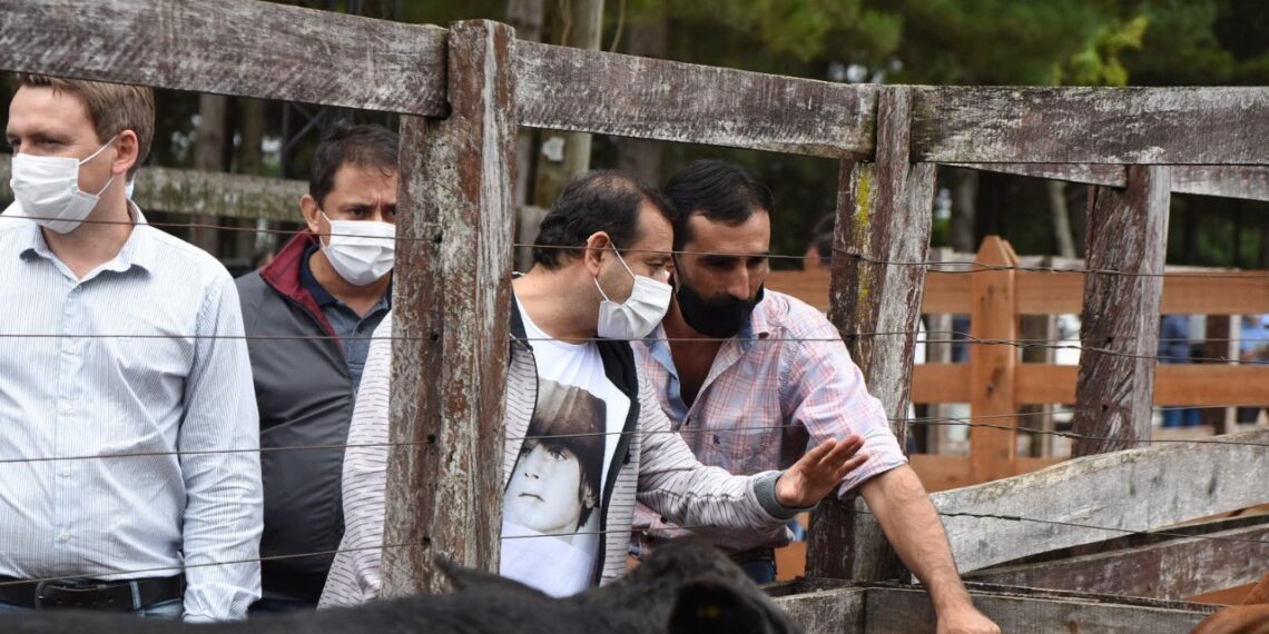 Se remataron más de 400 cabezas de ganado en 25 de Mayo