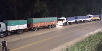 En San José retuvieron 5 camiones cargados con soja ilegal