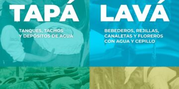Instan a no bajar los brazos contra el dengue