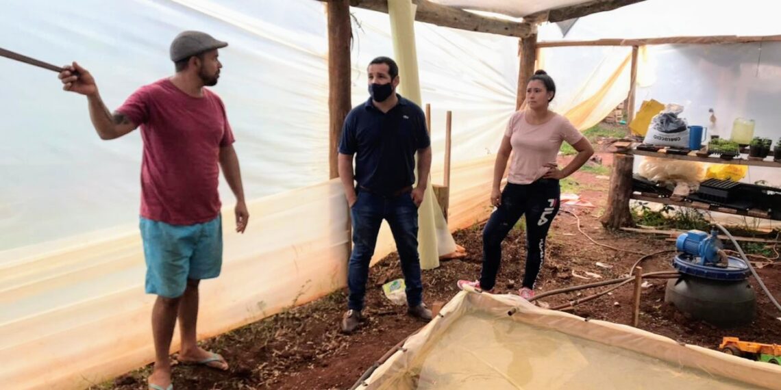 Desde el Municipio brindan asesoramiento a productores primarios