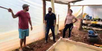 Desde el Municipio brindan asesoramiento a productores primarios