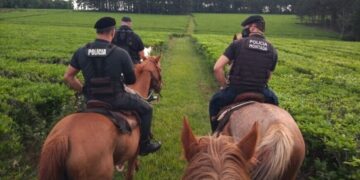 Intensos operativos de seguridad en zonas rurales de la provincia