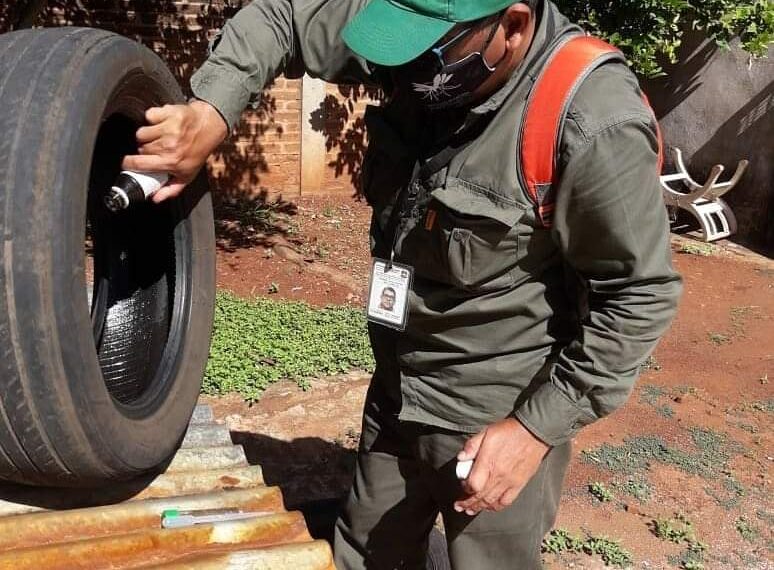 Intensifican operativos para detectar criaderos del mosquito Aedes aegypti