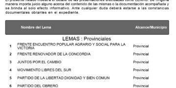 Son 10 los frentes y partidos que se anotaron para participar en los comicios del 6 de junio
